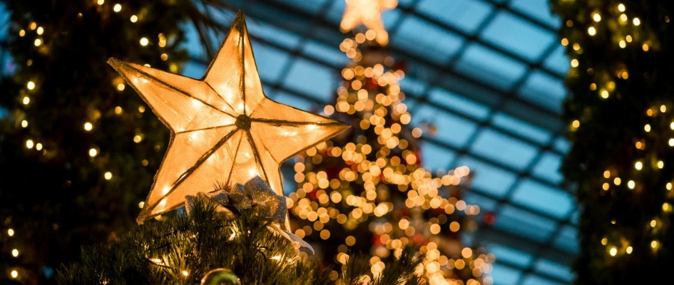 cual-es-el-origen-del-arbol-de-navidad-y-como-se-hizo-una-costumbre