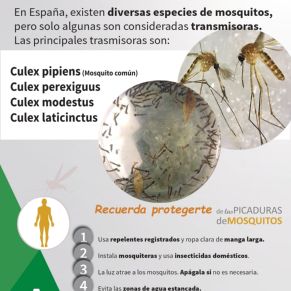 mosquitosVNO_page-0001