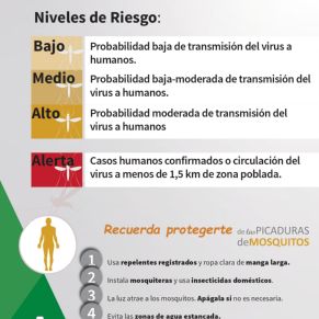 nivelesVNO_page-0001